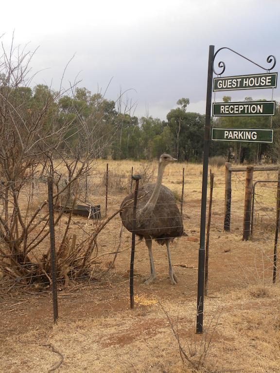 Olive Hill Country Lodge Bloemfontein Luaran gambar